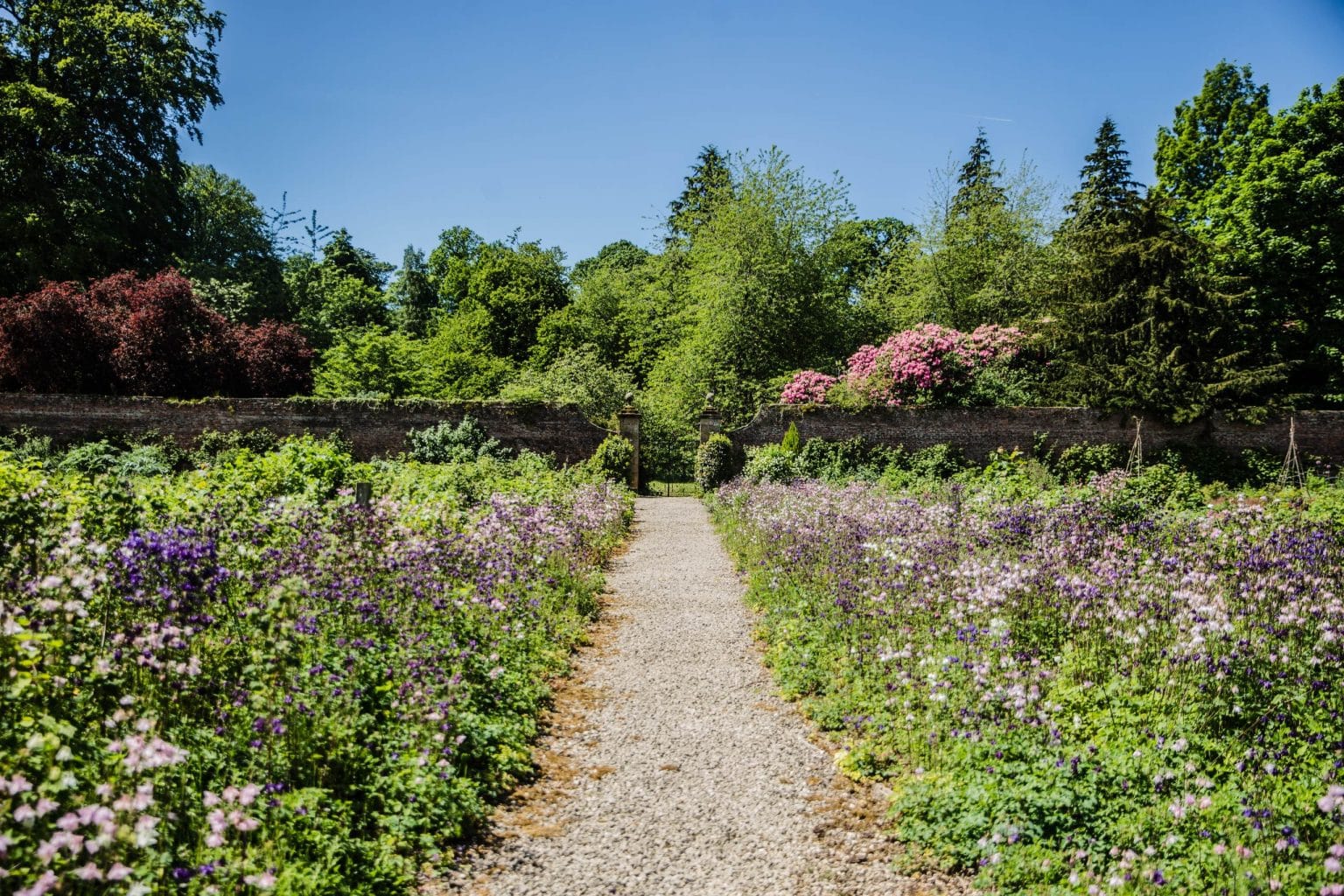 Restored walled garden at Swinton Estate, featuring a gravel pathway lined with wildflowers, lush greenery, and blooming shrubs under a bright blue sky.