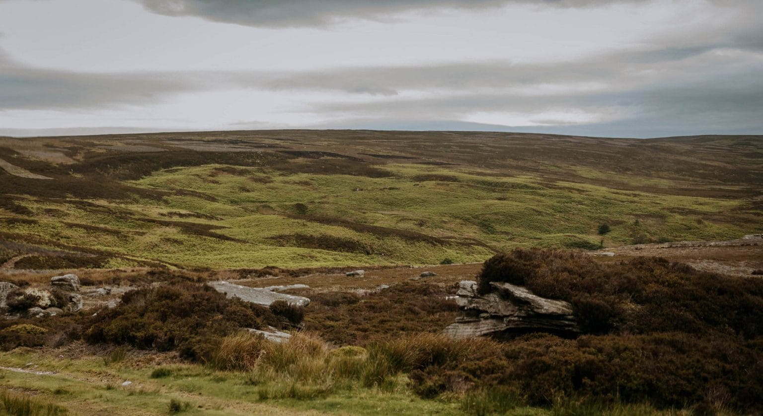Peatland restoration landscape at Swinton Estate, supporting carbon sequestration and biodiversity