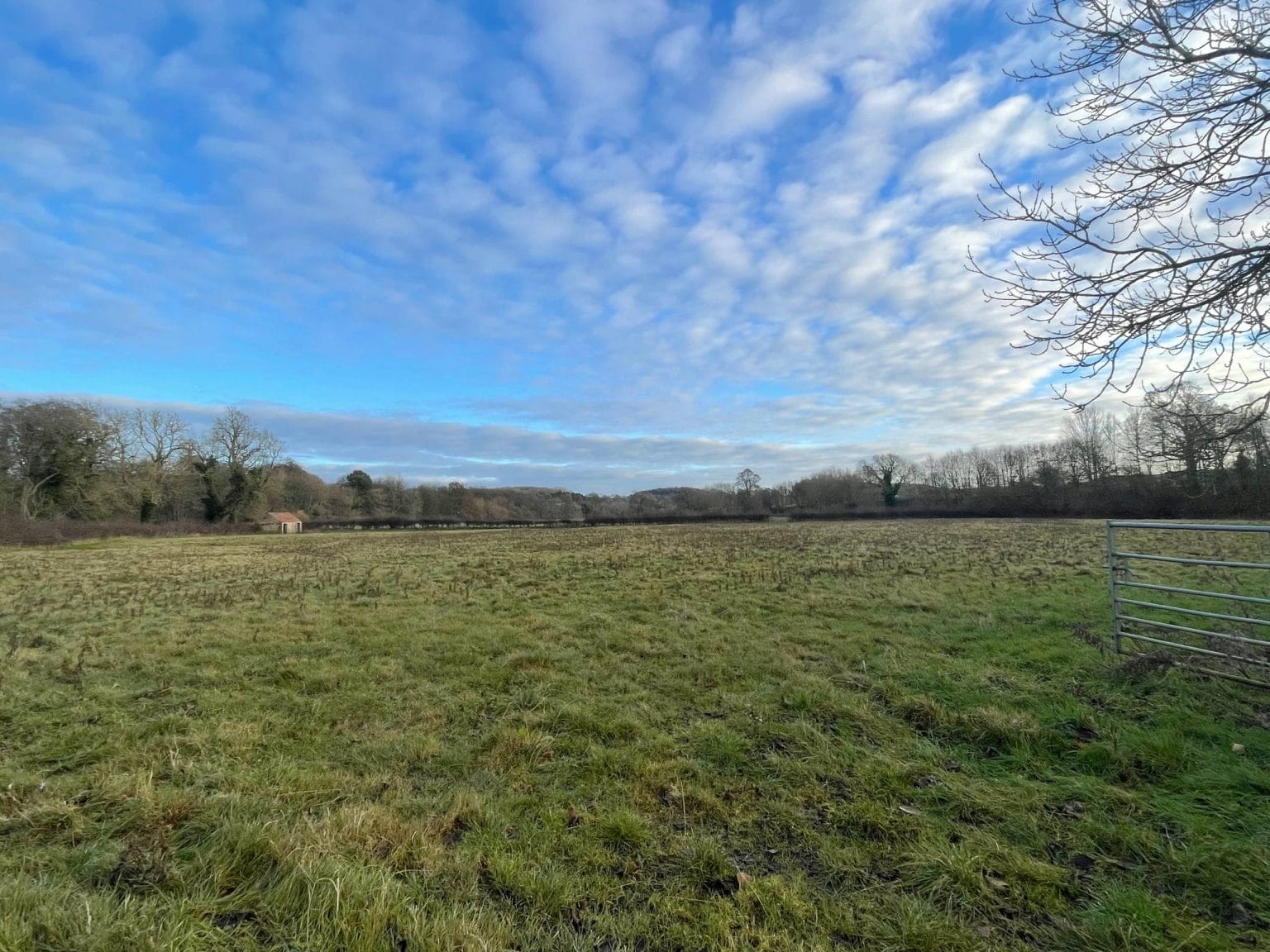 Van Diemen’s 8.7-hectare biodiversity project on the River Ure, enhancing habitats with 60.34 BNG units