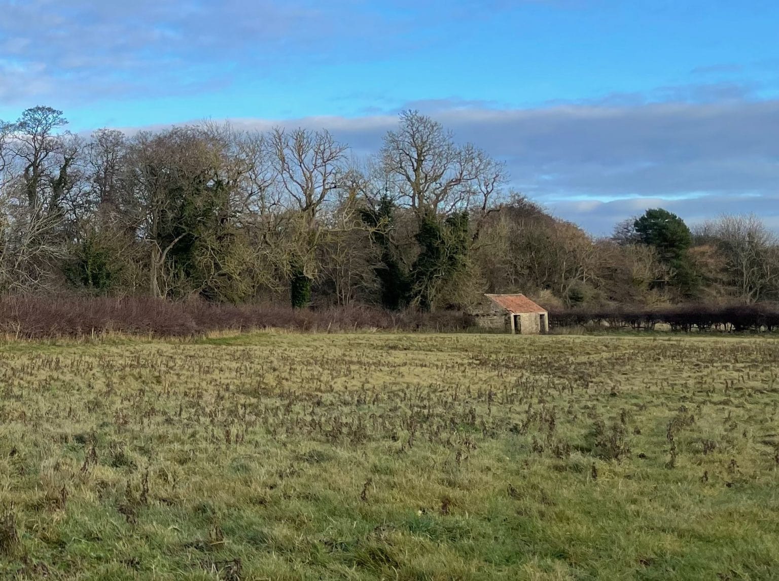Van Diemens biodiversity project at Swinton Estate enhancing habitats with woodland, hedgerows, and pasture