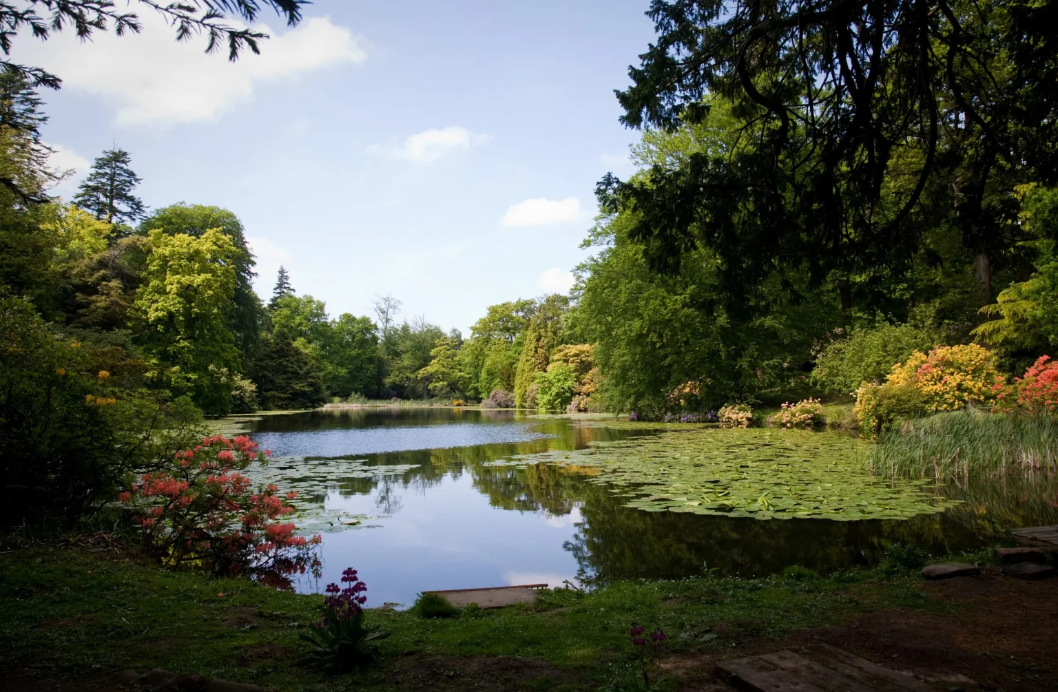 Tranquil pond at Swinton Estate surrounded by lush greenery, fostering community engagement and biodiversity restoration