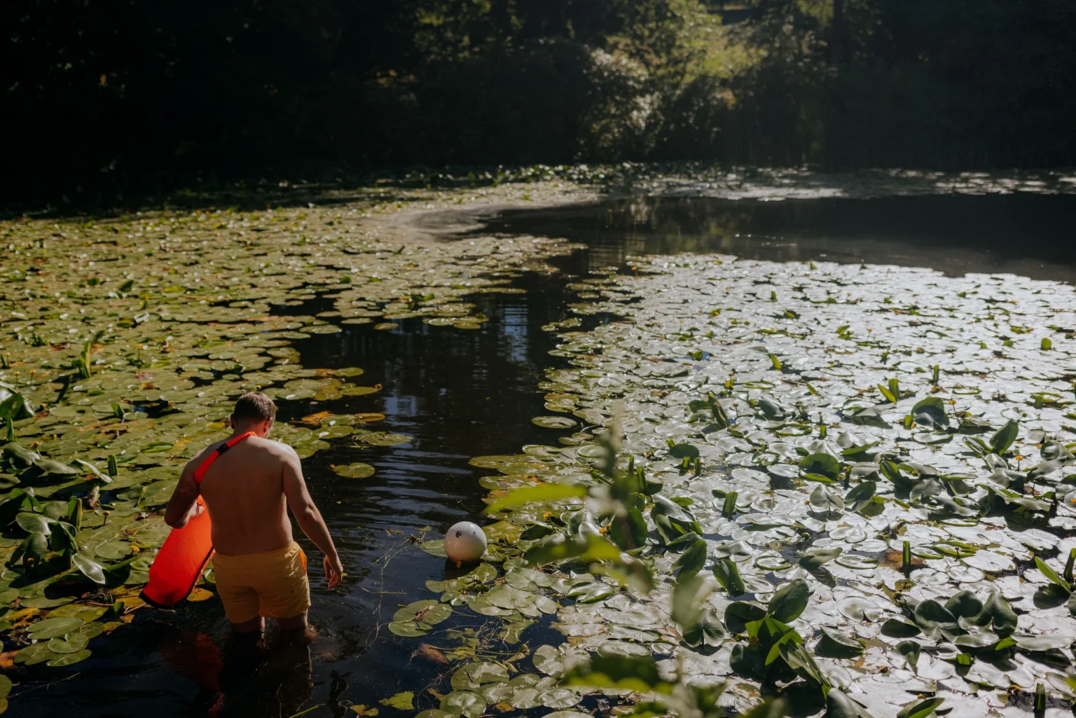 Wild swimming at Swinton Estate's serene pond offering wellness activities in nature's peaceful surroundings