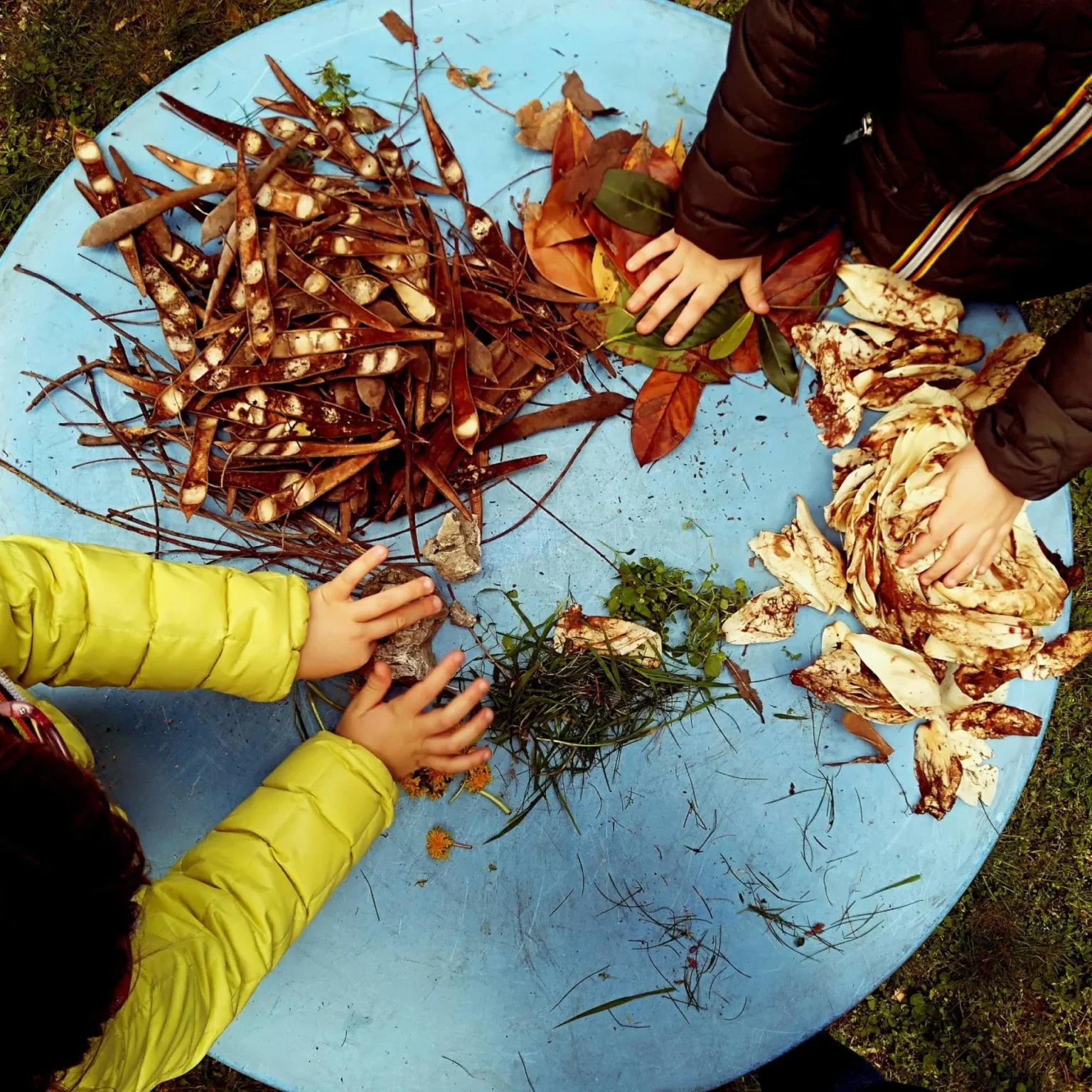 Children engaging with nature at Swinton Estate building community and wellbeing through hands-on activities