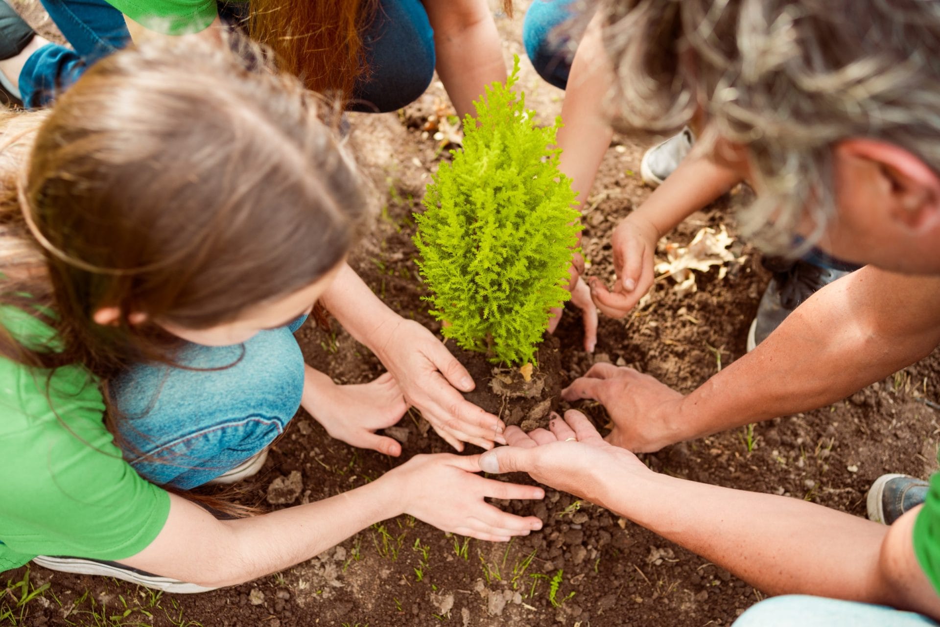 Community tree planting at Swinton Estate, supporting wellbeing and providing opportunities for those in need through charitable initiatives